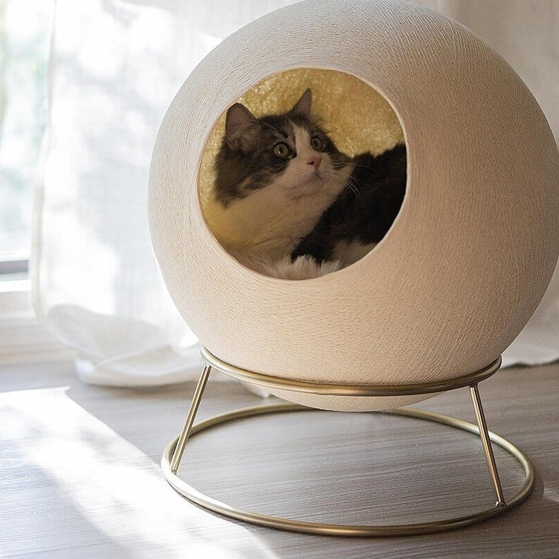 Enclosed Cozy Cat Bed
